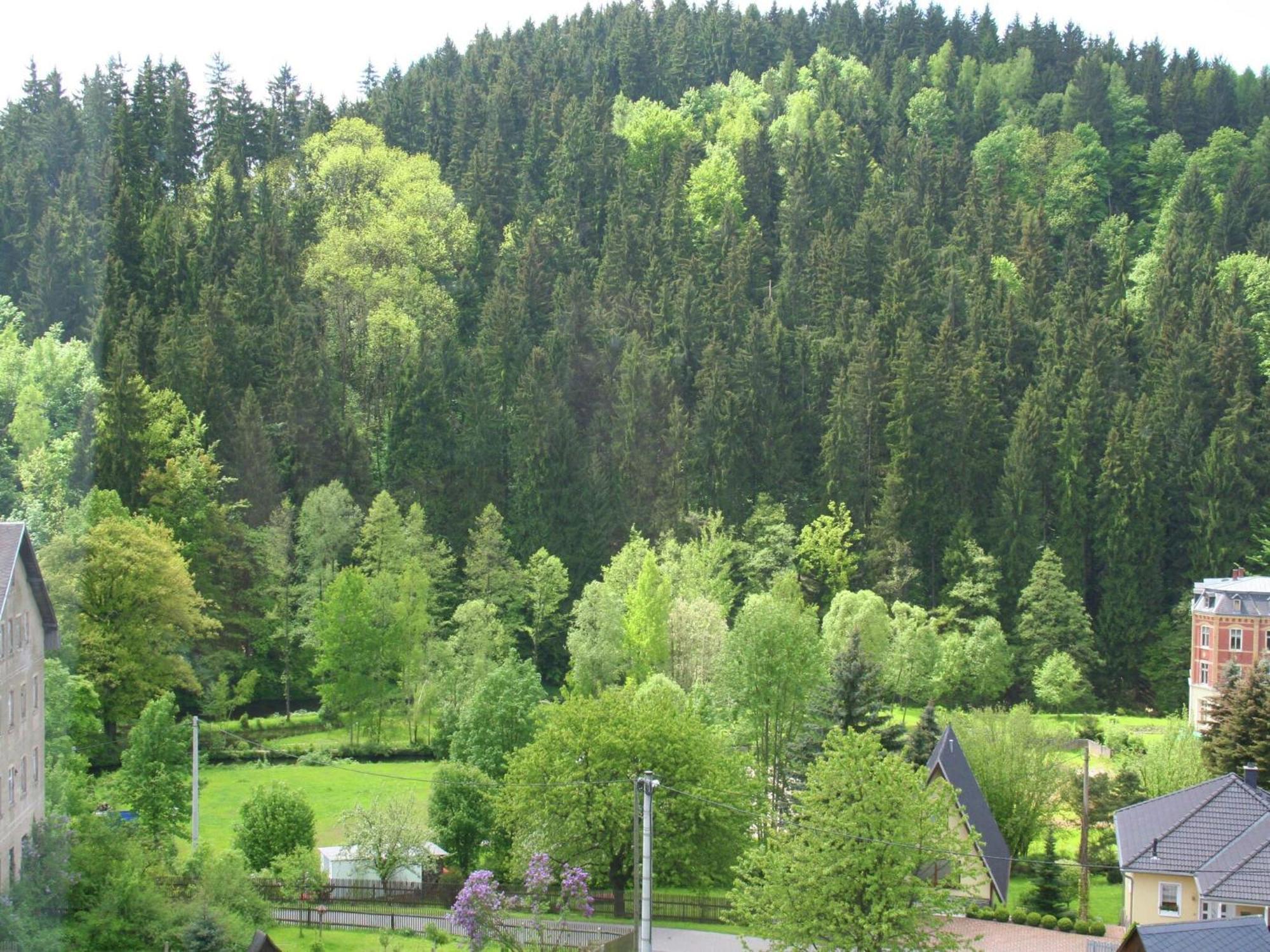 Alluring Villa In Grunhainichen Borstendorf With Garden Leubsdorf Eksteriør bilde