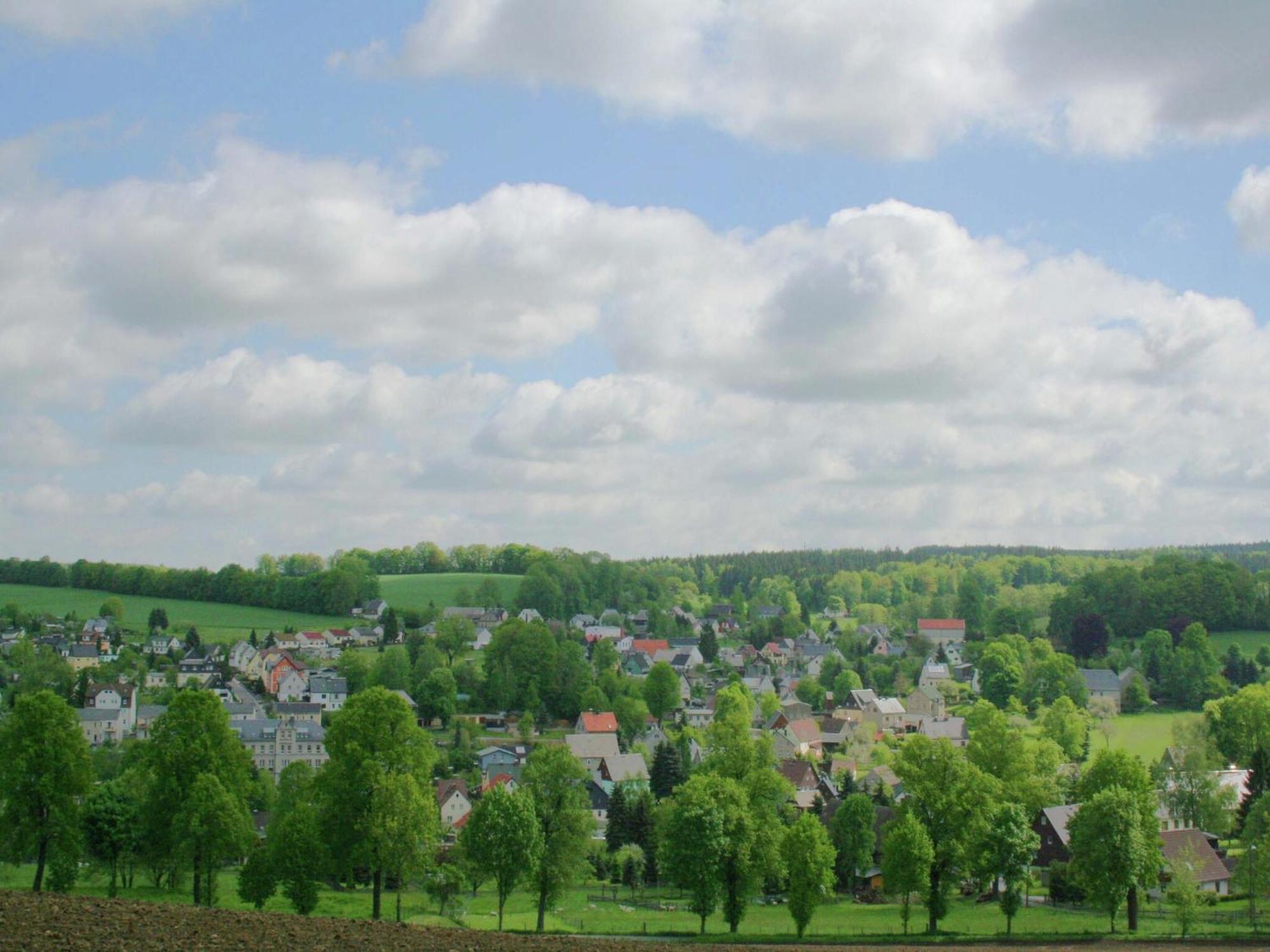 Alluring Villa In Grunhainichen Borstendorf With Garden Leubsdorf Eksteriør bilde
