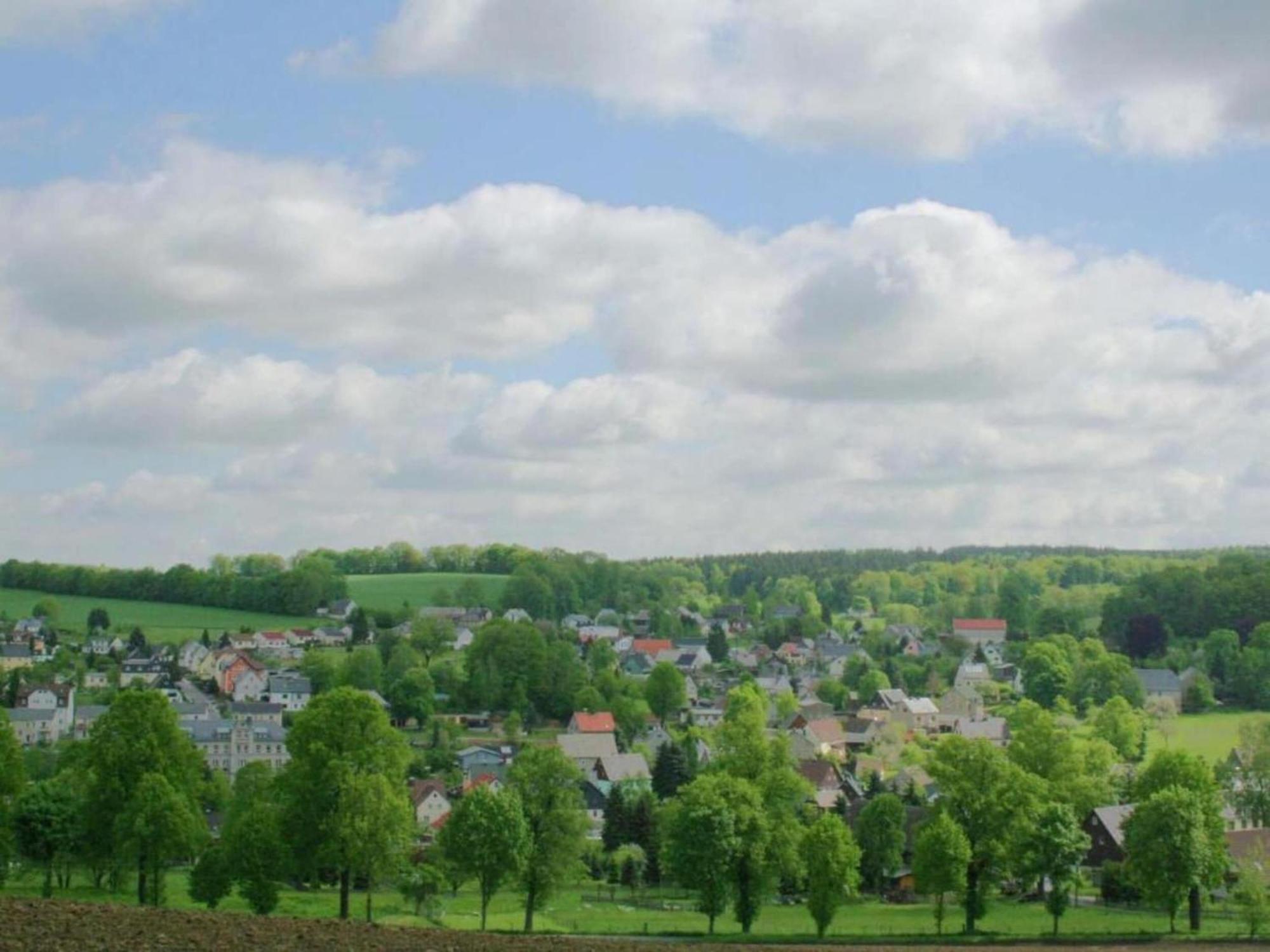Alluring Villa In Grunhainichen Borstendorf With Garden Leubsdorf Eksteriør bilde
